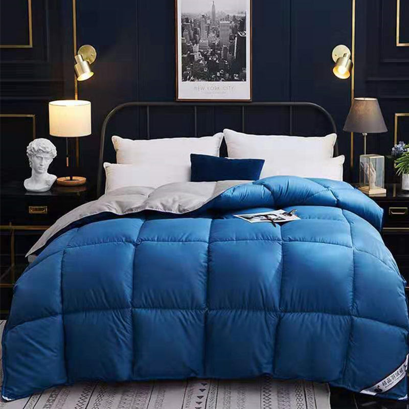 Winter Goose Down Duvet Core for Air Conditioner