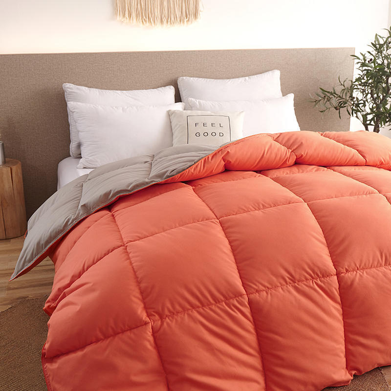 Winter Goose Down Duvet Core for Air Conditioner