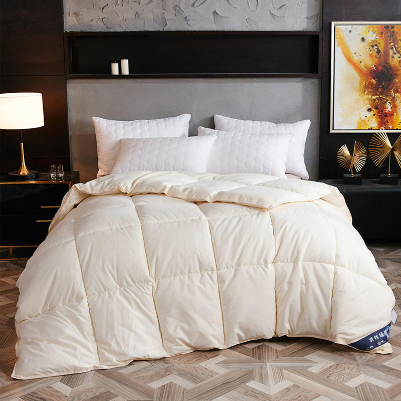 Winter Goose Down Duvet Core for Air Conditioner